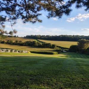 Meet your Posher, Ben